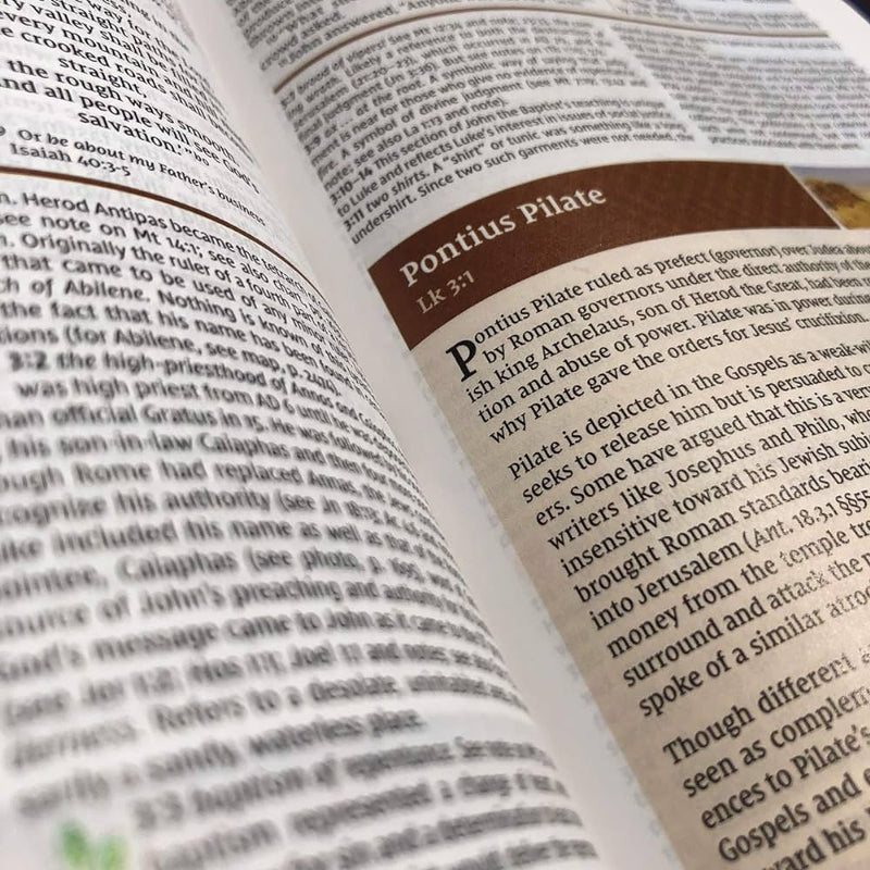 NIV STUDY BIBLE, Large Print, Hardcover, Red Letter, Comfort Print Hardcover