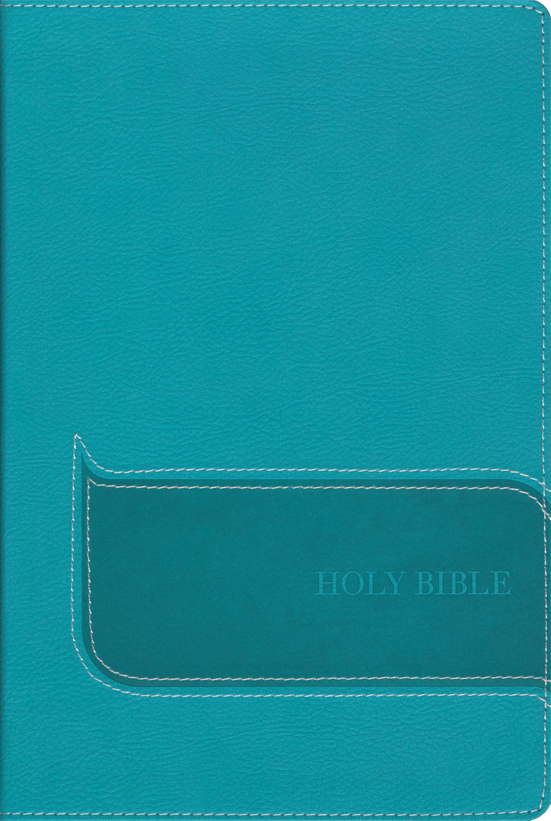 NIV Study Bible-Understand the Faith