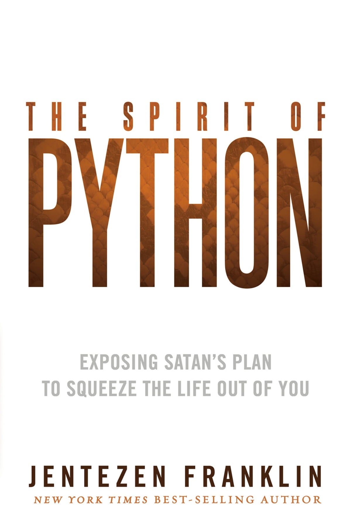 SPIRIT OF PYTHON spirit-of-python