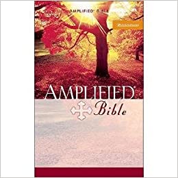 AMPLIFIED BIBLE SC
