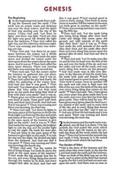 NLV THE BRAVE BOYS DEVOTIONAL BIBLE: New Life Version Hardcover