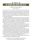 Daily Devotions For Guys: 365 Meditations on the Questions of the Bible