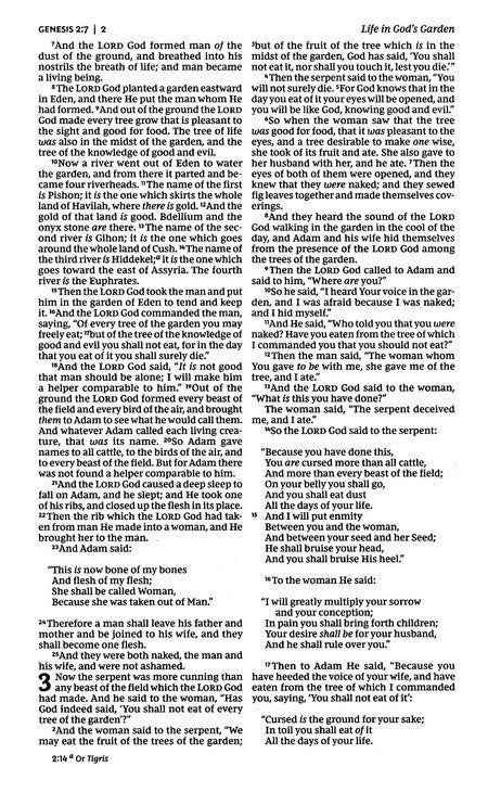 NKJV Pew Bible, Hardcover, Burgundy