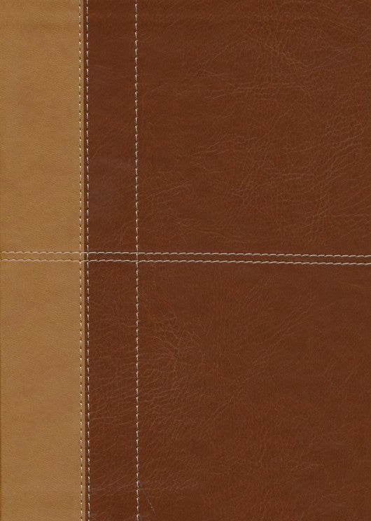 THE KJV CROSS REFERENCE STUDY BIBLE - IMITATION LEATHER, INDEXED (MASCULINE)
