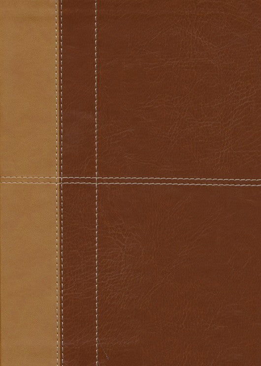 THE KJV CROSS REFERENCE STUDY BIBLE - IMITATION LEATHER, INDEXED (MASCULINE)