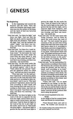 NIV THINLINE BIBLE BLACK - BOUNDED LEATHER