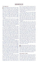 NLV THE BIBLE FOR COURAGEOUS GIRLS: New Life Version Imitation Leather – Illustrated