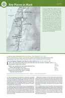 NLT Hardcover Life Application Study Bible Special Edition