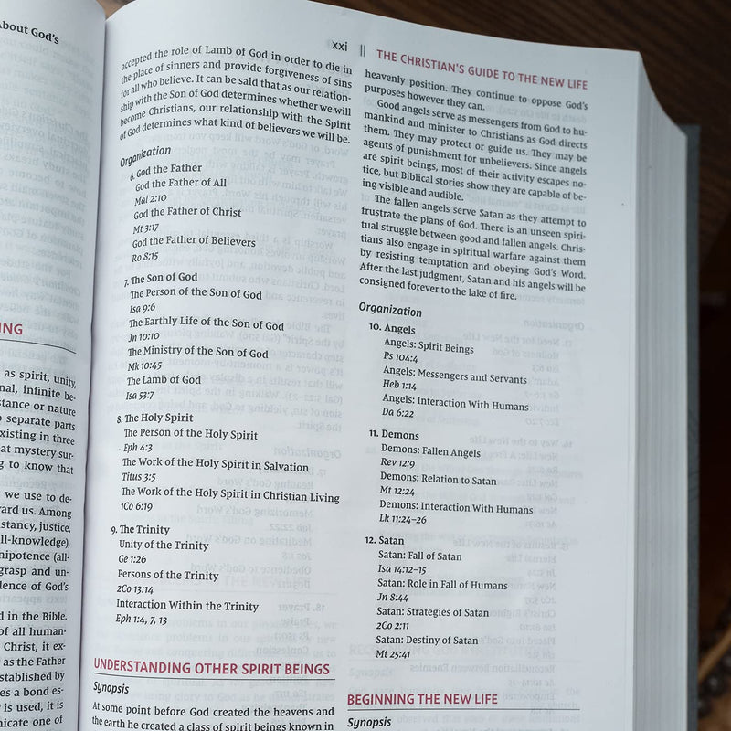 THE NIV, OPEN BIBLE, Hardcover, Gray, Red Letter, Comfort Print: Complete Reference System Hardcover