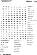 Bible 64 Fun Word Search For Adults