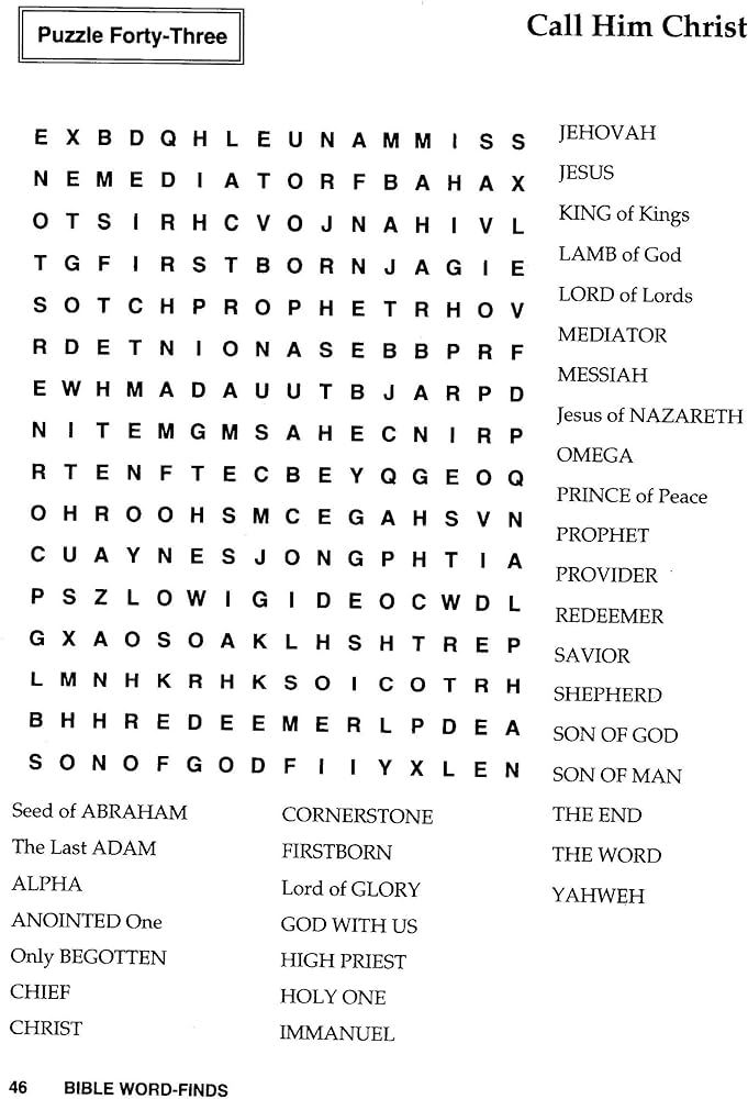 Bible 64 Fun Word Search For Adults