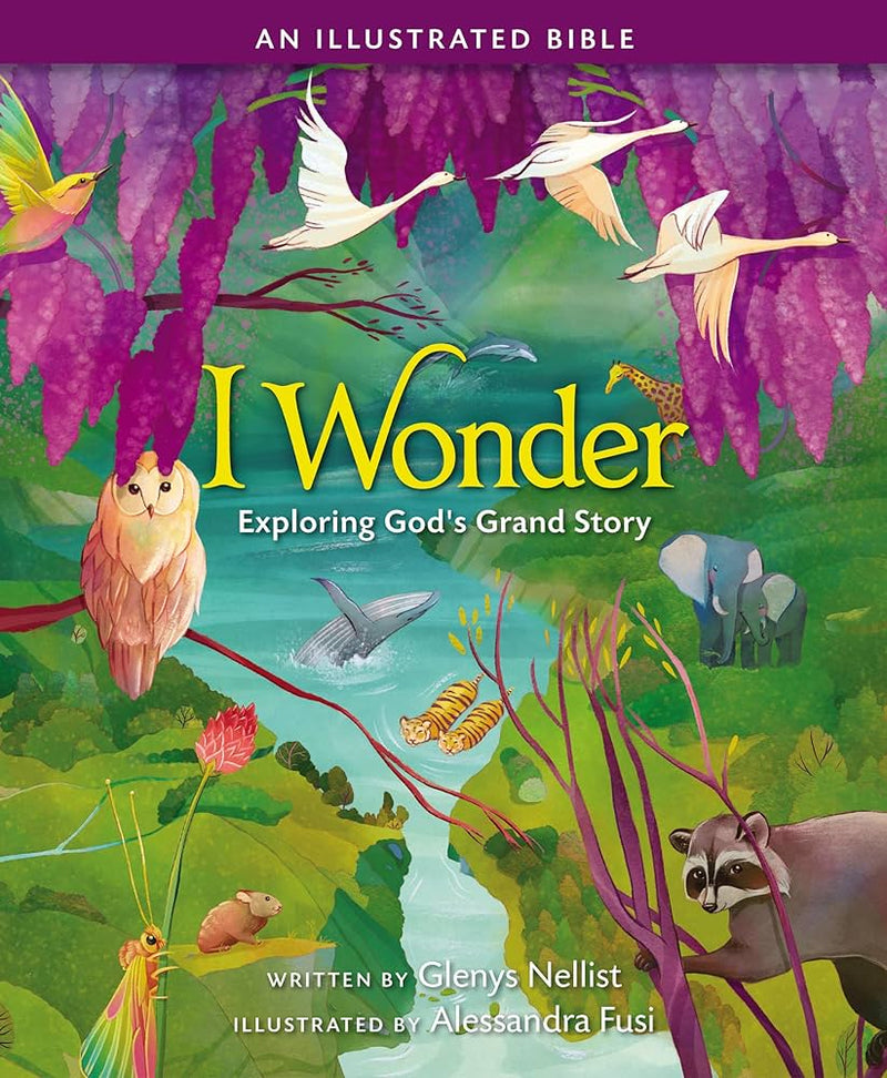 I WONDER: Exploring God's Grand Story: an Illustrated Bible