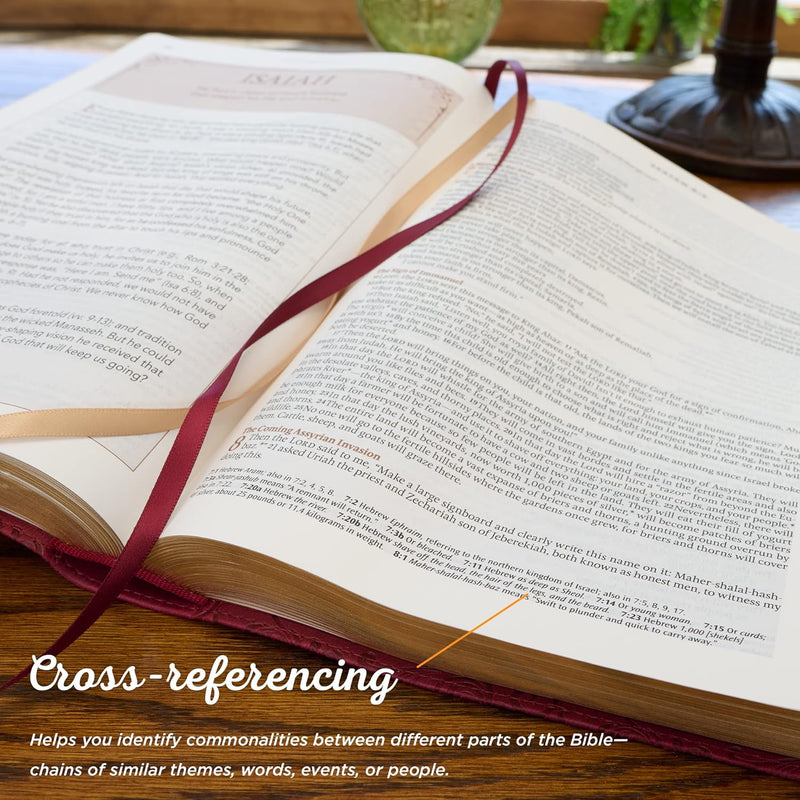 NLT Spiritual Growth Study Bible