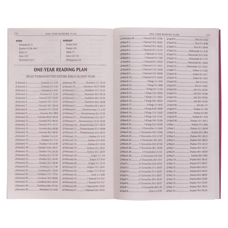 KJV Holy Bible, Gift and Award Bible - Softcover,  Burgundy