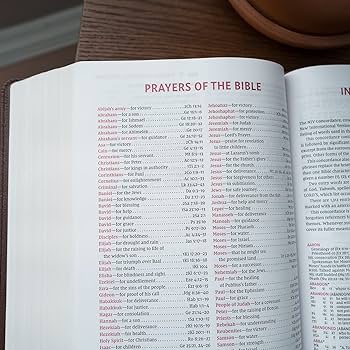 THE NIV, OPEN BIBLE, Hardcover, Gray, Red Letter, Comfort Print: Complete Reference System Hardcover