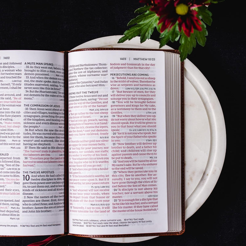 NKJV, Deluxe End-of-Verse Reference Bible, Personal Size Large Print, Leathersoft, Black, Red Letter, Comfort Print: Holy Bible