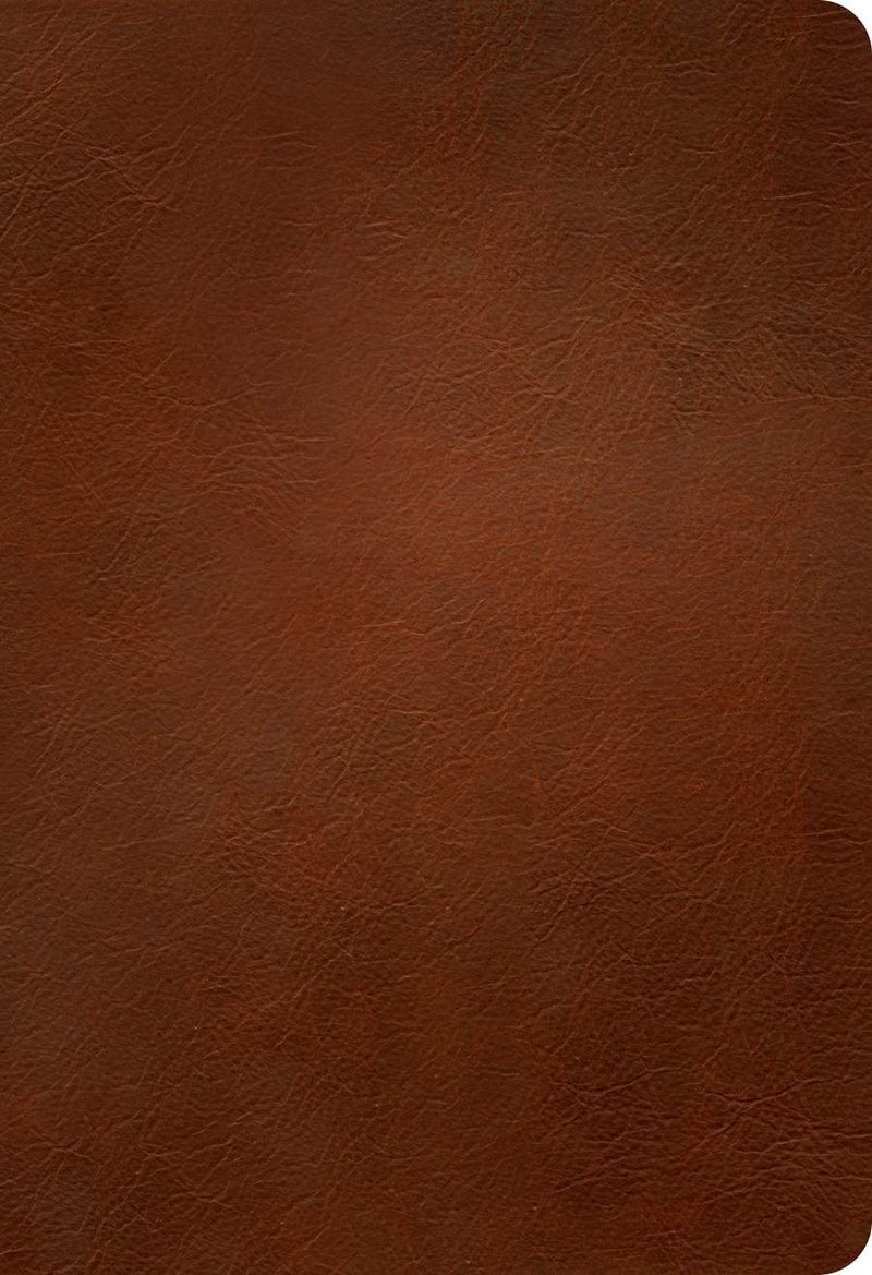 NLT Thinline Reference Holy Bible (Red Letter, LeatherLike, Rustic Brown)