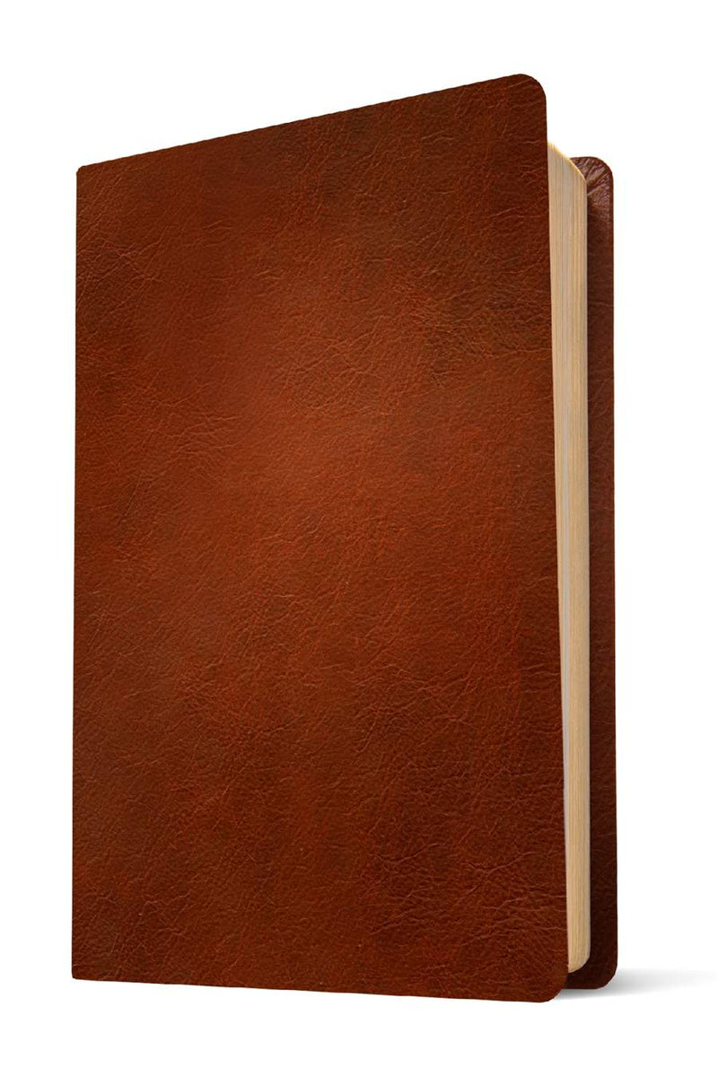 NLT Thinline Reference Holy Bible (Red Letter, LeatherLike, Rustic Brown)