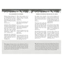 Pocket Bible Devotional For Guys Black (Paperback)