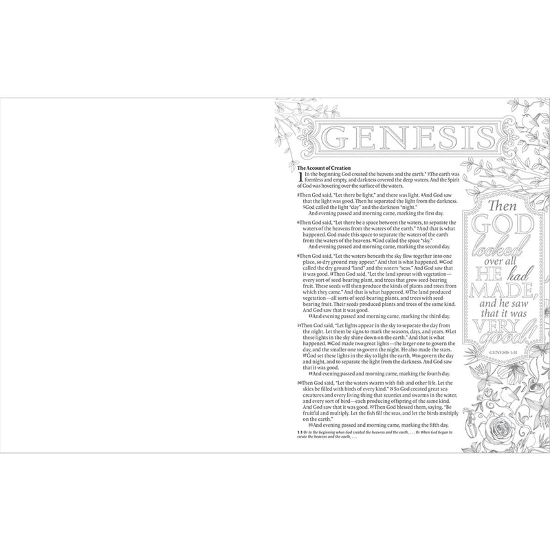 Inspire Bible NLT, Filament Enabled (Hardcover LeatherLike, Aquamarine): The Bible for Coloring & Creative Journaling
