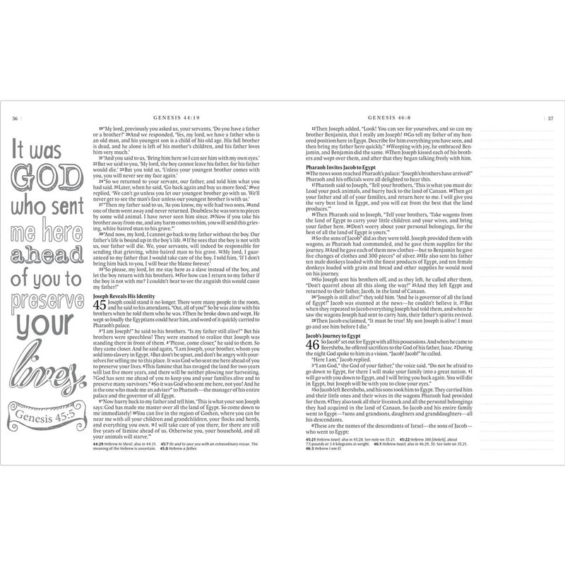 NLT Blue Leather Hardcover Inspire Bible