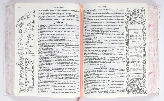 KJV Holy Bible, My Promise Bible, Hardcover