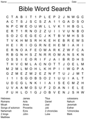Bible 64 Fun Word Search For Adults