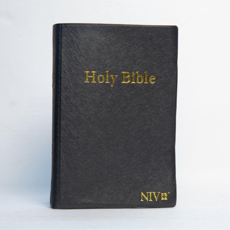 NIV THUMB INDEX LARGE PRINT NINYL COVER BROWN