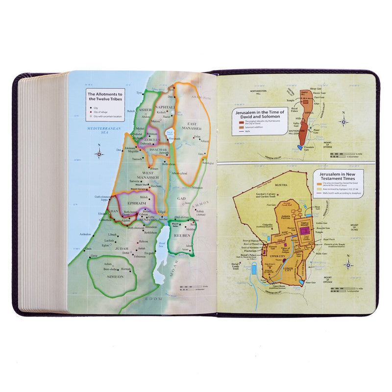Purple Faux Leather Large Print Compact King James Version Bible