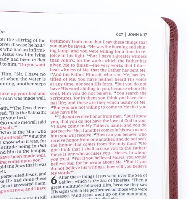 NKJV DELUXE GIFT BIBLE, PINK