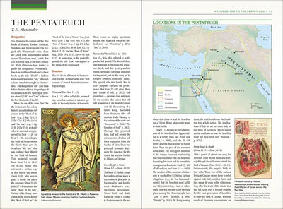 NIV ZONDERVAN STUDY BIBLE- LP