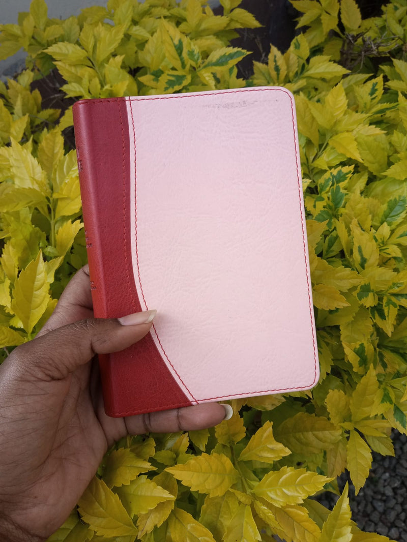 KJV - HOLY BIBLE COMPACT DUO TONE Red/Pink