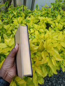 KJV - HOLY BIBLE COMPACT DUO TONE -BROWN