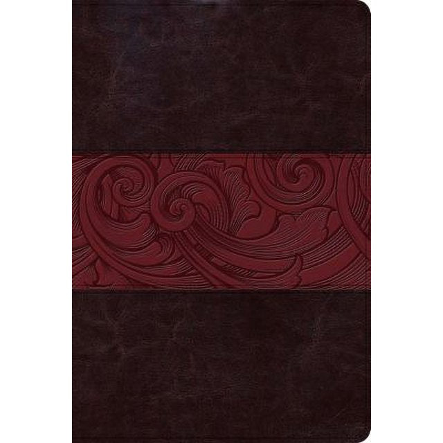 CSB Holman Rainbow Bible Study Bible, Black and Tan LeatherTouch, Thumb-Indexed