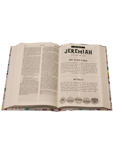GOOD NEWS BIBLE INTERACTIVE YOUTH ED