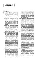 NIV Thinline Bible Brown Imitation Leather