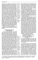 NRSV THINLINE REF LP LEATHER BROWN