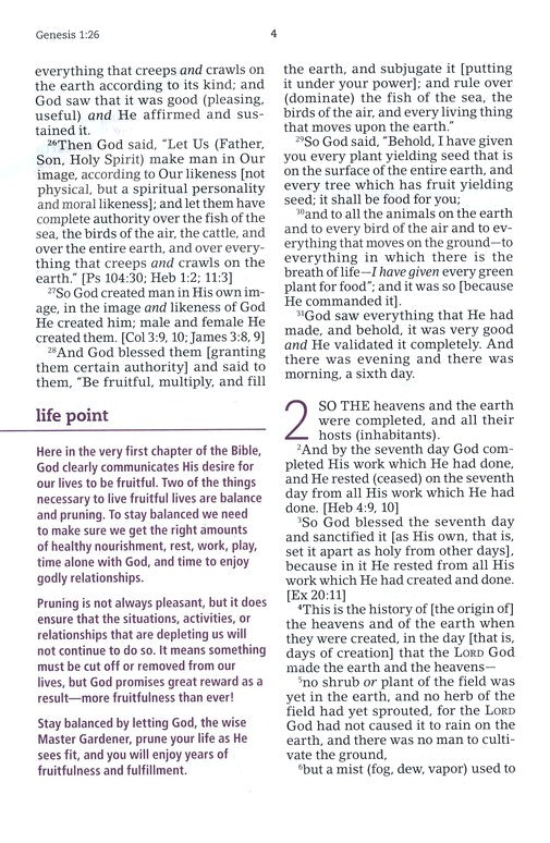 AMPLIFIED- EVERYDAY LIFE BIBLE : The Power Of God's Word For Everyday Living