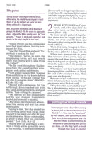 AMPLIFIED- EVERYDAY LIFE BIBLE : The Power Of God's Word For Everyday Living