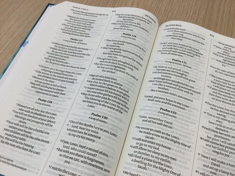 NIV LARGE PRINT BLUE HARDCOVER BIBLE