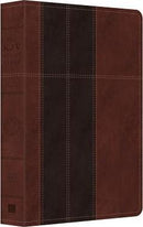 KJV STUDY BIBLE INDEX