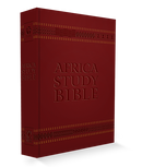 NLT AFRICA STUDY BIBLE- Burgundy