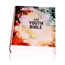 ESV YOUTH BIBLE