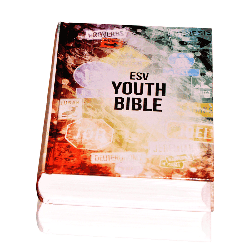 ESV YOUTH BIBLE