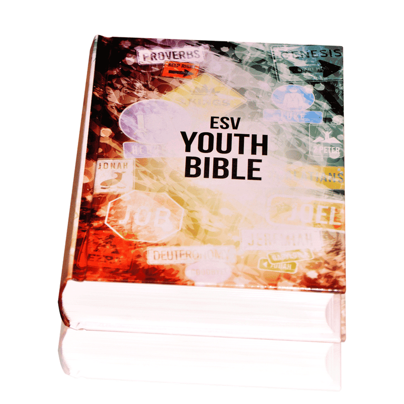 ESV YOUTH BIBLE