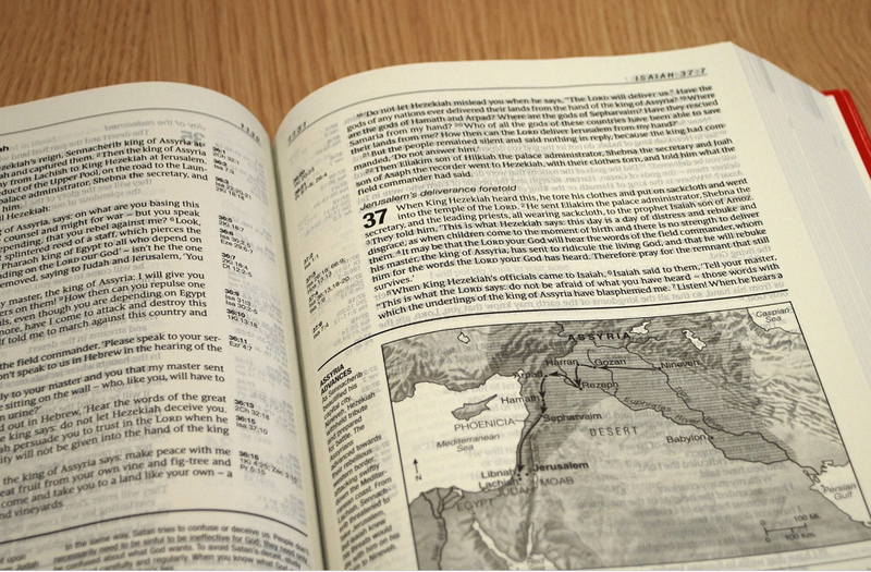 NIV LIFE APPLICATION STUDY BIBLE HC