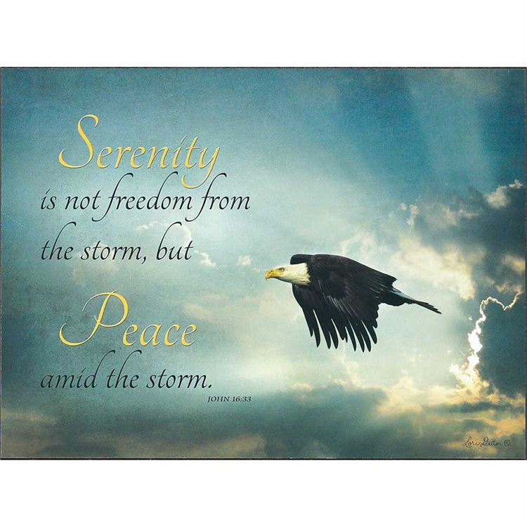 PLAQUE WALL SERENITY IS NOT FREEDOM JN.16:33