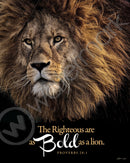 FRAMED PLAQUE  - SIZE A2