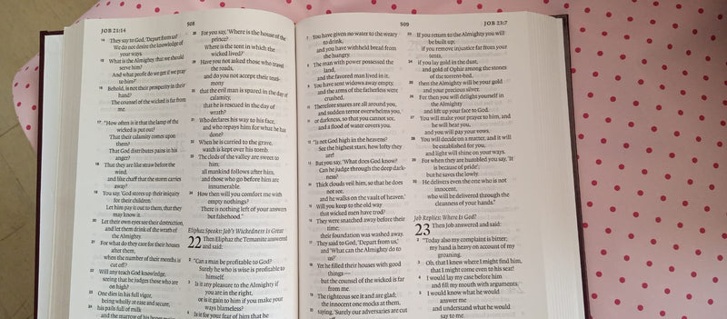 ESV PEW BIBLE, LARGE PRINT HC WITH CONCORDANCE