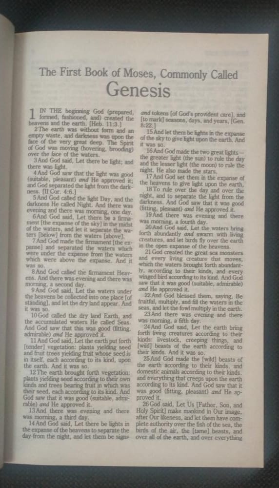 AMPLIFIED BIBLE SC